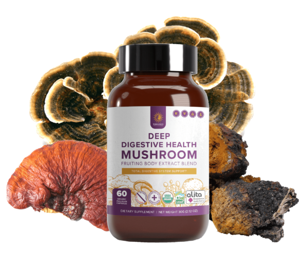 Deep Digestive Health Certified Organic Mushroom Extract Blend Capsules - Image 2