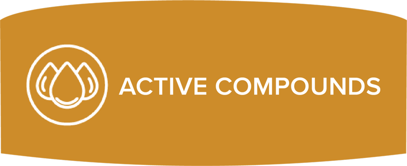 Active Compounds