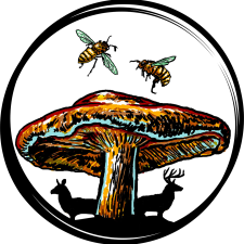 UFF_logo_color 1080x1080